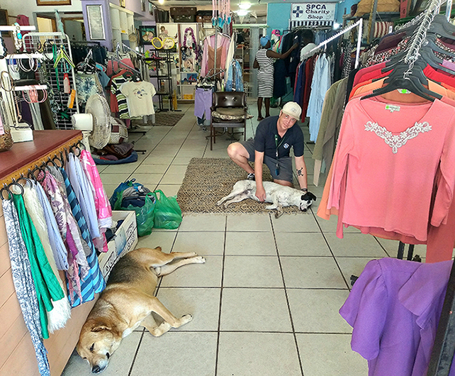 Charity Shop3